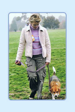 Dog on lead