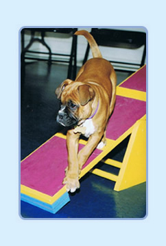 Seesaw